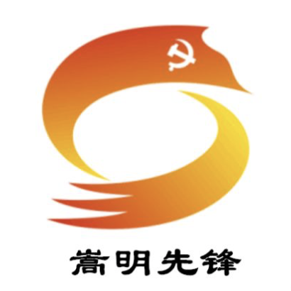 嵩明先锋公众号LOGO升级，采用哪个由你定！