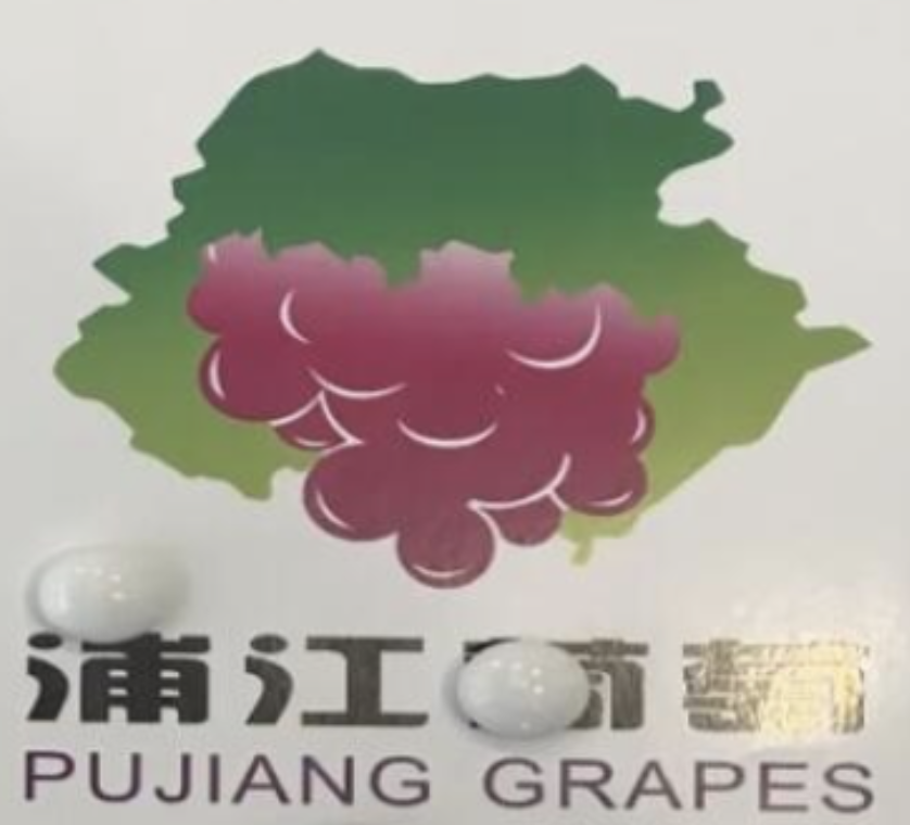浦江葡萄区域公用品牌logo发布